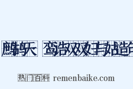 鹧鸪天·鸾诰双双妇与姑造句是什么意思的图片